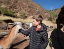 DSC00868 190704a llama petting 260