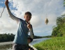 DSC04307 Amazon2 Fishing 090